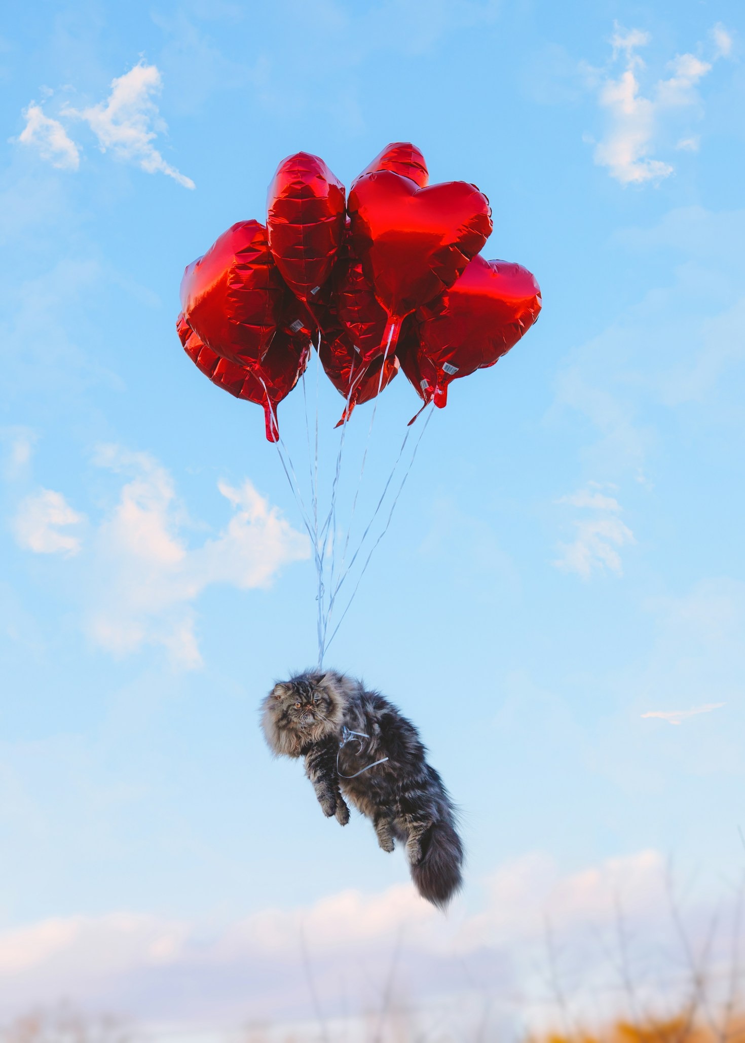 From Thoughtful to Thoughtless: Gift Mishaps